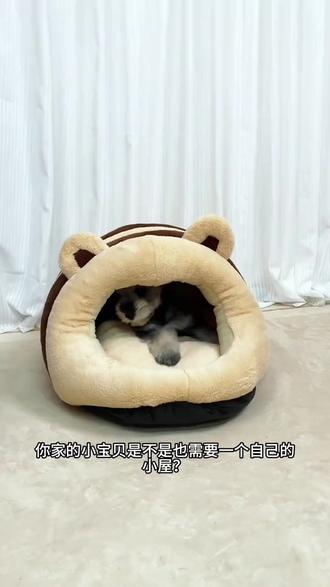 绅士小熊猫窝,给爱宠冬日安全感
#安全感狗窝 #冬日猫窝 #宠物猫窝 #封闭式狗窝 #可爱猫窝
