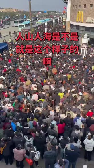 人山人海也不为过吧。要来普陀山的要快了啊,要不然可看不见了#生活服务热点中心 #好玩啦 #普陀山#普陀山祈福 #观音法界