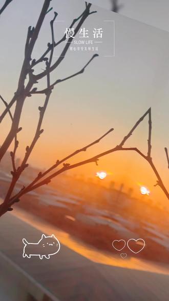 当彩泥遇上枯木→_→枯木也可以逢春了#
#手工花制作 #植物