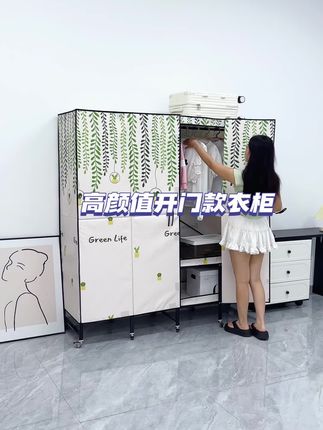 自从买了这个大容量的衣服收纳柜 再也不用为收纳发愁了#简易衣柜 #大容量衣柜 #衣服收纳#收纳整理#居家好物