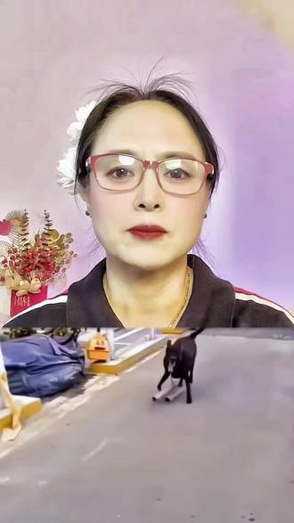 不知哪位有才的人想出来主意。#防止狗咬人 #管好自家狗 #狗伤人 @DOU+小助手 @抖音作者助手 @抖加🔥上热门🔥dou+🔥热点宝