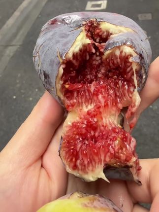 这个水果女生必吃!保护我们女性的小房子🏠满满的黄体酮 软糯香甜,颗颗流蜜 真的爆炸💥好吃!#快来一起尝个鲜 #新鲜采摘 #新鲜无花果 #软糯香甜 #女生吃无花果的好处