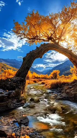 《加州旅馆》是老鹰乐队1976年发行的同名专辑主打歌,以叙事与隐喻成为摇滚经典,1978年获格莱美“年度唱片”奖,至今仍是美国流行文化的标志。
一、核心信息速览
- 发行:1976-12-08;创作者:唐·亨利、格列·弗雷、唐·费尔德
- 时长:6:30;风格:融合摇滚、民谣、爵士与乡村,标志性双吉他尾奏
- 现场封神:1994年MTV不插电“冰封地狱”版,双吉他solo被《吉他世界》评为史上最佳
二、歌词的三重隐喻
1. 时代镜像:70年代美国浮华与精神空虚,暗指毒品、欲望与资本陷阱,“You can check out any time you like, but you can never leave”道破自由与束缚的悖论。
2. 娱乐圈寓言:映射唱片工业的捆绑与异化,“用谎言将你束缚”直指不平等合约。
3. 人性寓言:“旅馆”是内心欲望的迷宫,象征纯真的失落与自我囚禁。
三、音乐的黄金设计
- 开篇12弦吉他+鼓点,铺垫公路叙事氛围。
- 管风琴、贝斯与和声层叠,副歌“Welcome to the Hotel California”极具张力。
- 结尾双吉他对话式solo,旋律与情绪推向高潮,被奉为摇滚solo标杆。
四、为何成为永恒经典
1. 超越时代:精准捕捉欲望与自由的永恒困境,跨代共鸣。
2. 风格融合:摇滚的力量、民谣的叙事、爵士的即兴,兼容多元审美。
3. 开放解读:无标准答案,“旅馆在每个人心里”,随听众经历被不断赋予新义。
五、关键意象与解读
- 黑暗沙漠公路:人生迷途;Colitas香气:毒品文化隐喻。
- 镜面与霓虹:浮华表象下的精神虚无。
- 钢刀刺野兽:欲望的顽固性,难被常规方式根除 。
乐队主创唐·亨利称其为“关于美国的象征之作,关乎纯真的失去”,而正是这种开放性与普世性,让它成为跨越时代的文化图腾。
#爵士乐 #加州旅馆完整版 #上热搜 #快来围观 #视觉盛宴 @刀郎 @李沁 @郭麒麟 @萨顶顶 @演员王佳佳 @演员黄渤 @谭维维 @赵本山.