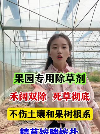 #农业主播周玲 #除草剂 #精草铵膦胺盐 果园除草就用它
