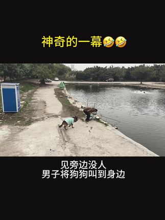 糯米的趣味生活