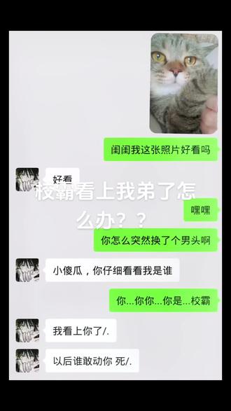 校霸看上我弟了,怎么办????在线求救???#萌宠出道计划 #记录猫咪日常 #聊天记录 #当时我就懵了 #文本朗读有商务殷语啦