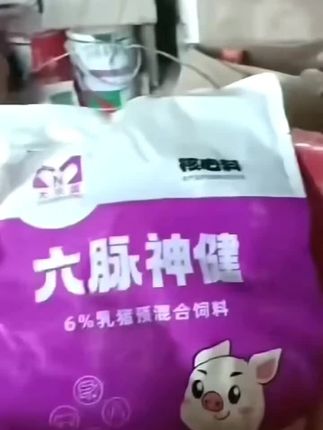 #养猪人加油干 #养猪三农 #六脉神健核心料 #养猪人加油干