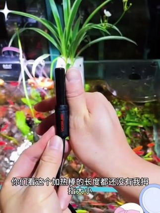 沃韦朗迷你加热棒体积小巧(不足拇指大),适合小鱼缸,不影响美观。有20瓦、50瓦、100瓦三种功率可选,开关可调节三档温度。采用陶瓷棒体,耐高温、抗腐蚀,淡水缸和海水缸都适用,适合小鱼缸爱好者#加热棒 #鱼缸加热棒 #鱼缸加温 #迷你加热棒 #水族