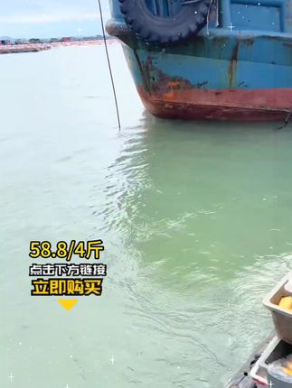 实打实现捕现发,4 斤!整整 4 斤!到手才 58.8 块!算下来一斤才 14 块多,超市冻货都比这贵!
