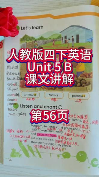 人教版四下英语第5单元B第56页课文讲解#人教版四下英语#人教版pep#课文讲解#跟读#第五单元