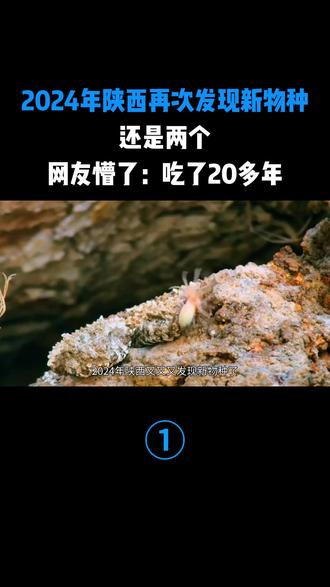 2024年陕西再次发现新物种,还是两个,网友懵了:吃了20多年#奇闻奇异 #珍稀