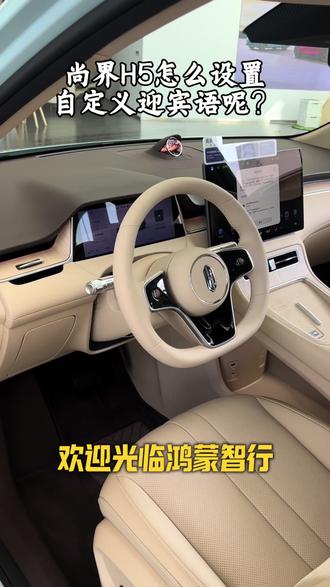 开门迎宾语该如何设置? #尚界Z7谁看谁尚头 #尚界Z7 #尚界Z7T #用车小知识 #肖战