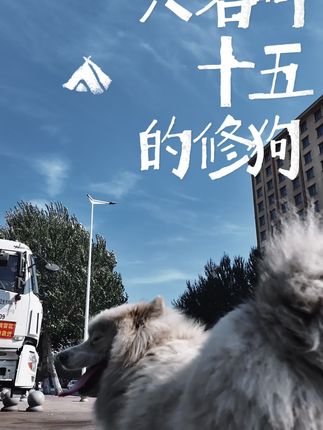 #修狗十五 #vlog日常 #创作者扶持计划