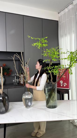 女贞长青,万事顺意#花卉绿植#水培栽培#花卉绿植 敏