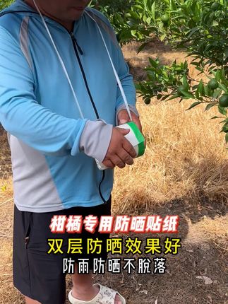 柑橘防晒很重要,避免晒成太阳果 #柑橘防晒 #防晒贴纸 #柑橘种植