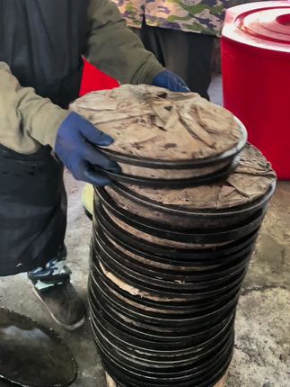 当季新鲜菜饼