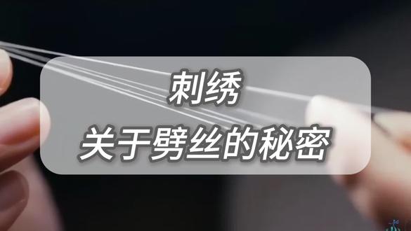 刺绣——关于劈丝的秘密 大家在买刺绣工艺作品时,总是能听到或看到4丝,16丝等,但是又不了解这是什么,今天我就给大家讲讲刺绣中的劈丝。这缕直径仅0.02毫米的天然蚕丝,正在匠人手中经历一场精密拆分——刺绣界称为"劈丝"。作为苏绣、蜀绣等顶级绣种的根基技艺,劈丝是将一根完整蚕丝手工分解为多股细丝的过程,最高可劈至1/128丝(即1286股),已经轻巧到可以漂浮在空中。绣娘们用指甲盖轻轻一刮,蚕丝就像开花一样散成细缕。要掌握这门手艺,得练三年基本功——手上力度多一分会扯断,少一分又分不均匀。这是中国刺绣里最神奇的"劈丝"绝活。绣出来的花纹能看见光透过的纹理。蜀绣的作品需要亲自看过、摸过,才能感受到它的美。我们店铺里有摆件、屏风、扇子、围巾、方巾等多种手工绣制的产品,大家可以来看看。………………地址………………✔成都市成华区锦绣大道4599号-1楼商业街113号 (🚇地铁线路:7号线大观站下,A口出,沿锦绣大道往北走.或2号线,成都东站下,西广场出,沿锦绣大道往南走。🚗开车导航:锦绣大道4599号七天优品酒店)#伴手礼推荐 #送礼佳品 #蜀绣伴手礼 #桑蚕丝 #真丝 