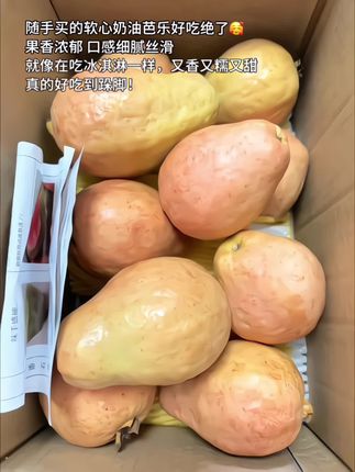 啊啊谁懂!真的好吃到舔手指啊!回购n次的红心芭乐,口感软糯香甜,细腻丝滑,就像吃冰淇淋一样,个头饱满,个个都好新鲜,果香味超浓郁,芭乐脑袋和没吃过的姐妹一定要尝尝!#芭乐 #奶油冰淇淋芭乐 #番石榴 #红心芭乐 #新鲜应季水果