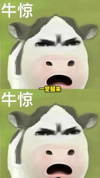 揽佬也是好起来了,都能跟我们魔兽联动了! #2026揽佬还在大展鸿图#魔兽世界 #魔兽世界至暗之夜