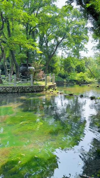 【徒步】湖州金盖山古道:满山青翠里藏着千年道观📍 #真实生活分享计划 #慢充旅行 #慢充旅行太治愈了 #捕捉夏日限定的蓝 #江浙沪周边游