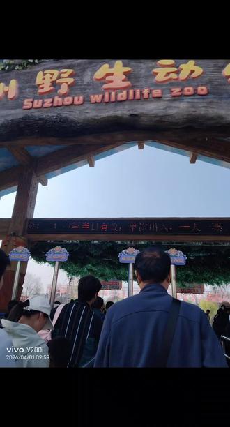 宿州野生动物园一日游
春假期间,我和爸爸妈妈一起去宿州野生动物园游玩。天气凉快舒适,微风轻拂,特别适合散步,我们全程都是步行游览园区的。
我们从园区入口进入,按顺序开启了精彩的游玩之旅。首先,我们看到了各式各样可爱的动物,有毛茸茸的藏绵羊、健壮的盘羊、软萌的侏儒羊、优雅的马鹿、有着驼峰的骆驼、矮壮的矮马,还有长着独特条纹的漂亮斑马。每一种动物都十分有趣,我仔细地观察它们,还拍了好多照片。
参观完这些动物后,我们来到雄风剧场,观看了一场精彩的表演,表演者们十分出色,全场观众都为他们热烈鼓掌。肚子有些饿了之后,我们便前往湖畔餐厅,吃了一碗香喷喷的酱香米线,暖暖的米线填饱了肚子,让我们又充满了力气。接着,我们来到鹿小丁欢乐大世界,体验了好多刺激的游乐项目。我们坐了过山车,玩了激流勇进,还挑战了大摆锤,刺激的项目让我们又尖叫又大笑,玩得特别尽兴。下午,我们继续参观更多珍稀动物,先后去了黑熊馆,看到了威风的白狮、斑鬣狗、矫健的花豹,还有气势十足的孟加拉白虎。之后,我们还见到了可爱的小熊猫、调皮的浣熊、国宝大熊猫,以及会说话的彩色鹦鹉。大熊猫胖乎乎的,懒洋洋地吃着竹子,模样憨态可掬,我特别喜欢它们。夕阳西下,我们结束了愉快的旅程,踏上回家的路。虽然走了很多路,身体有些疲惫,但心里满是开心。这次宿州野生动物园之旅,充满了乐趣与惊喜,我不仅见到了众多珍稀动物,还和爸爸妈妈度过了美好的时光,这是一次难忘的春假出游!#野生动物园景区 #我的动物园之旅 #动物园打卡