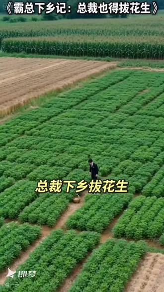 总裁下乡拔花生#即梦ai#ai分身戏精大赛#我的ai分身杀疯了#Seedance2.0