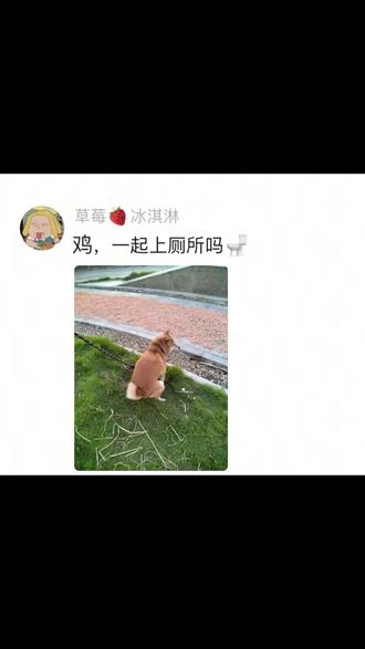 鸡妮用画回评论第七期。爱护环境人人有责。 #鸡妮 #用画回复