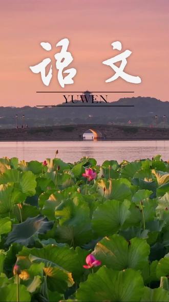 二年级语文下册第一课预习 #语文 #二年级 #课文 #预习 #必背古诗词