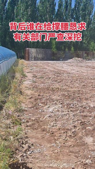 天作孽,犹可违;自作孽,不可活