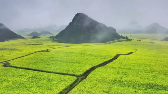 摩尔线程上市圈钱后直接躺平:75亿闲钱理财,股民哭了!