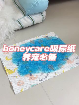 新手养狗最头疼的就是毛孩子乱拉乱尿了!#宠物吸尿纸 #萌宠好物 #新手养狗 #honeycare好命家 #狗狗定点上厕所