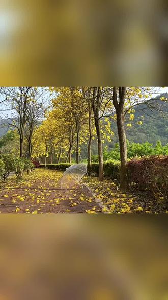 VTT筋膜环按摩放松热敷揉腹练肚练腿懒人运动健身器材#筋膜环#筋膜按摩环#懒人健身神器 #多功能筋膜环