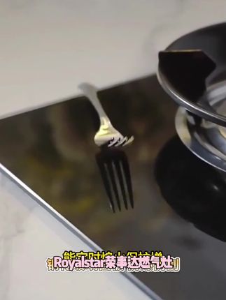 Royalstar/荣事达燃气灶家用双灶节能定时熄火保护增压猛火燃气灶