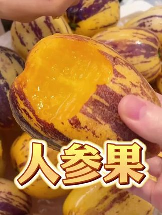 人参果