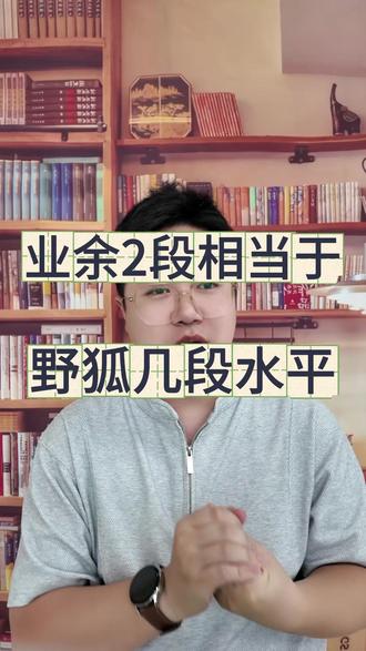野狐2段相当于野狐几段的水平,一个视频给你讲明白! #围棋 #少儿围棋 #围棋教学 #围棋机构 #围棋线上教学
