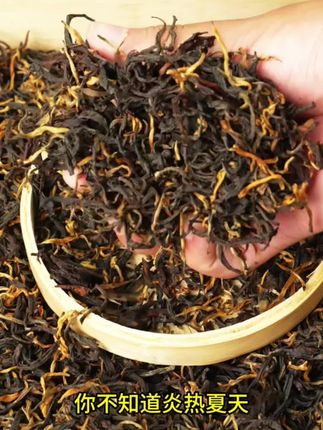 2025年新茶上市,头春头采的滇红新茶,醇香甘甜,还包邮! #茶叶 #茶知识 #古树茶 #茶生活