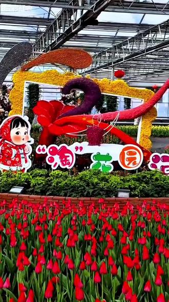 春节快来逛长春净月的农博园。第十六届农博会在这里举办,营业时间到初期为止,早上8点半到晚上4点,停车免费8号门可以停车,一定要早点来哦从17号门检票入园,这里是20万平方米,有七个独立展览馆,花卉展区,渔业展区,珍禽展区,沙漠植物展区,无土栽培展区等等,还有各种美食,小吃,1米二以下的儿童免费65周岁以上老人也免费,老人需要带身份证,如果是退役军人,现役军人,残疾人等等,拿着优待证,在这里还可以逛年货大集,这里的花卉也是可以买的,快点视频下方链接抢票,快来逛一逛吧#逛大集#买花卉#农博园#春节去哪逛#春节去哪玩