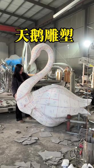 聚焦天鹅主题公园需求,我们依托泡沫模型,匠心打造这款天鹅雕塑。先按模型轮廓精细锻造,锻造后反复比对贴合,确保轮廓精准无误。接着先拼接天鹅的颈部与头部,精准固定每一处衔接点位,确保线条流畅自然,再细致拼接身体部分,逐段对齐接口、精准定位,随后对各部件逐一焊接加固,完成后整合出完整造型。这款雕塑适配水景与公园,是亮眼又适配的装饰。#天鹅雕塑#不锈钢雕塑制作过程 #不锈钢雕塑 #雕塑工厂