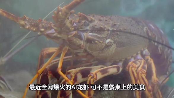 AI龙虾能给你带来什么?