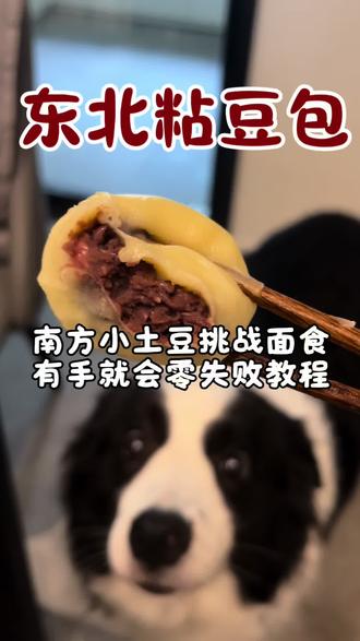 东北粘豆包|快手低卡糯叽叽🤩超爱中式碳水 🥣南方小土豆挑战东北老式粘豆包,一次成功!
这个配方超级适合不怎么会做面食的南方人!有手就会:不发面、不塌陷、不粘锅,馅儿还能随便加!
✔️红豆+花生→天然豆沙香
✔️糯米粉+大黄米/大米面→传统比例,Q弹不黏牙
✔️冷水上锅,15分钟刚刚好~
✨成品软糯清香,热量低、饱腹感强,超级干净的中式碳水,一个才100卡,养生女孩狂炫不胖!
【划重点】
1. 馅料可以根据自己的喜好随便搭配豆子,但建议红豆50%以上,保证沙糯口感;花生也非常推荐!天然油脂能增加香味。
2. 煮豆子的时候水一定不要少,不然容易糊锅;如果水放多了可以倒出来用炒锅炒干。
3. 喜欢细腻口感可以用料理机把豆沙馅打成泥。
4. 豆沙馅冷藏定型后更好包。
5. 糯米粉做的皮不用发酵,口感更粘糯紧实。
6. 蒸制时间一定要控制在15分钟,久了容易塌陷。
#东北粘豆包 #P人做饭 #糯叽叽 #零失败面食 #厨房治愈系时刻