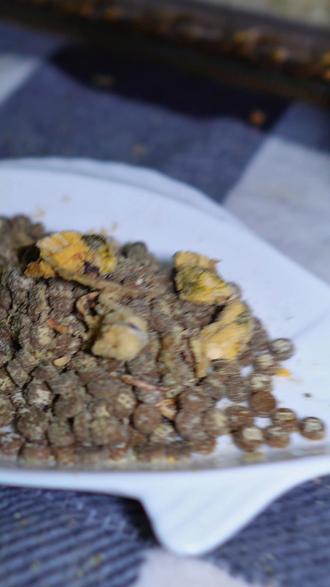 问问豆包老猫布布靠不靠谱 直接问豆包,看看情况怎么样。老猫布布,这是一个很新的品牌。各个方面还是很不错的。值得推荐
#问豆包 #老猫布布 #老年期猫粮 #老年猫粮 #猫粮评测