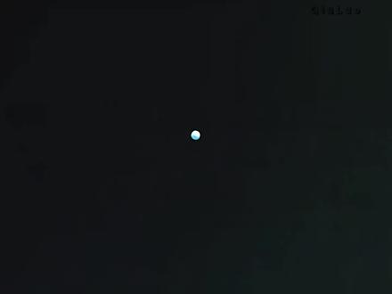 #王者主页 精灵宝可梦永存