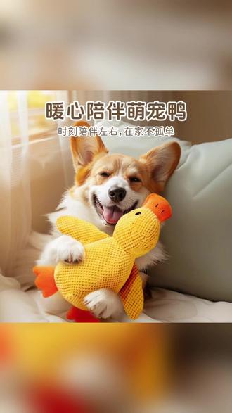 能发出仿真嘎嘎声的狗狗陪睡大黄鸭 #狗狗玩具 #养宠进阶指南 #萌宠 #宠物解闷 #磨牙耐咬