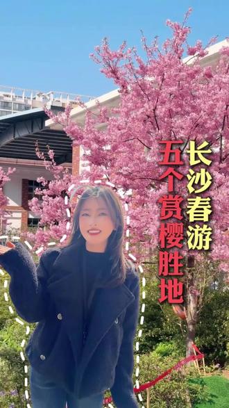 #长沙#樱花#美景
长沙樱花顶流季,快来打卡樱花吧