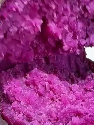 紫薯新鲜沙地现挖,紫罗兰蜜薯糖心甜山芋番薯地瓜蒸煮都好吃#紫罗兰紫薯 #蜜薯 #紫薯 #番薯 #地瓜