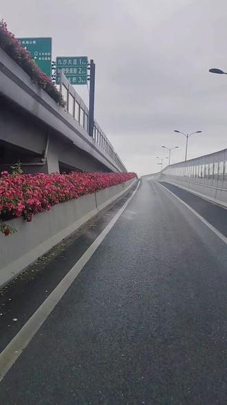 别担心,有蓝犀牛