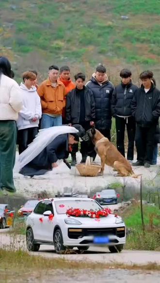 巴图它不会说话,却能听懂生命的呼救;它身形不大,却能扛起救人的重量。 #光合计划 #我的乡村生活 #乡村守护人!