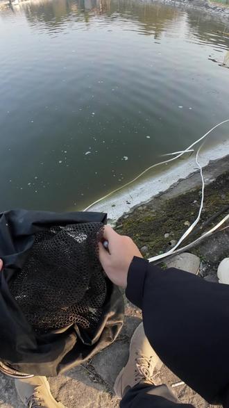 专业鱼童的自我修养 #在拍一种很新的vlog #钓鱼 #路亚