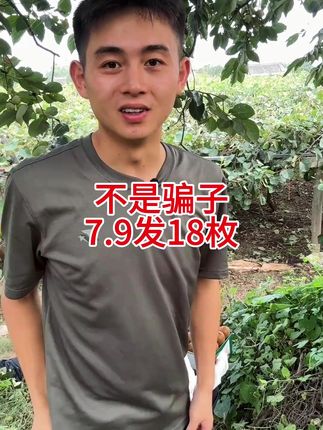 很多人都没有吃过正宗的徐香猕猴桃 #新鲜采摘 #优质农产品