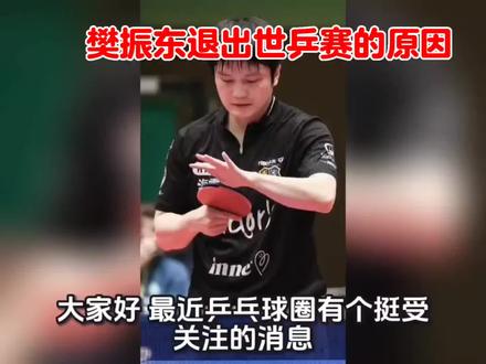 樊振东不参加世乒赛的原因#东南亚运动员 #印尼退役国手 #热门话题乒乓 #马来西亚国手 #丹羽孝希